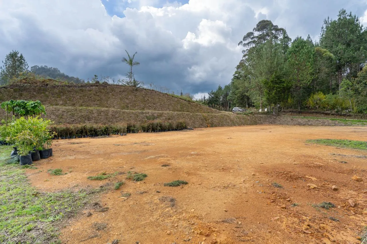 Lote 5 — foto 1